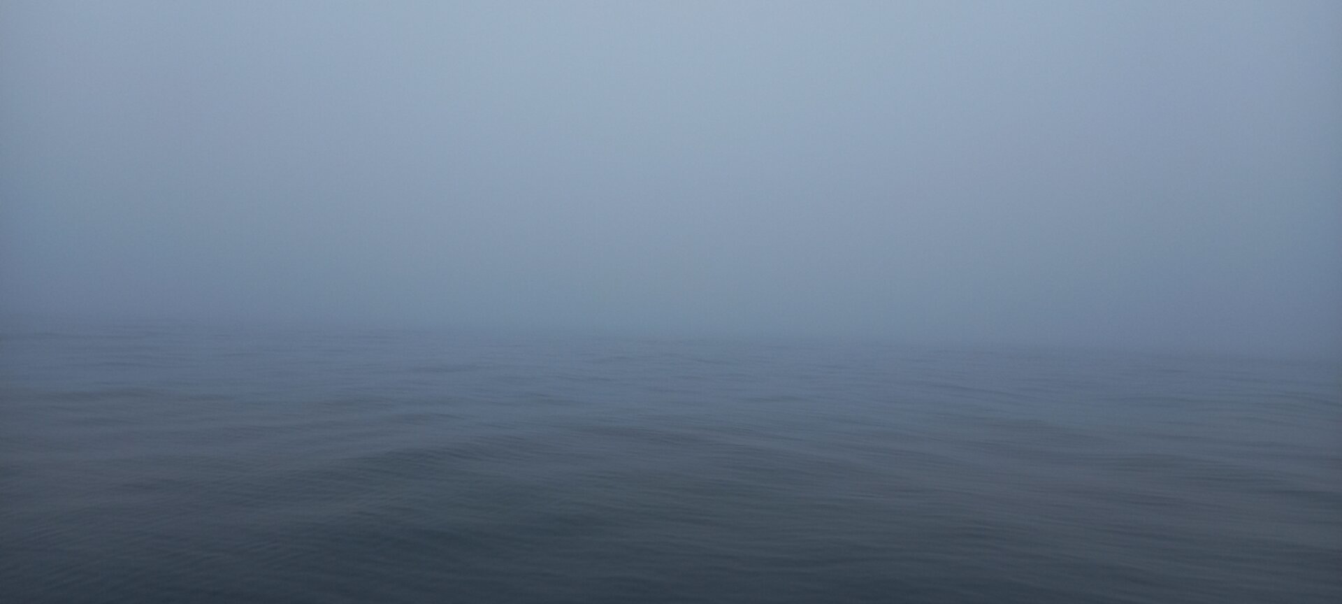 20230616_185358.jpg