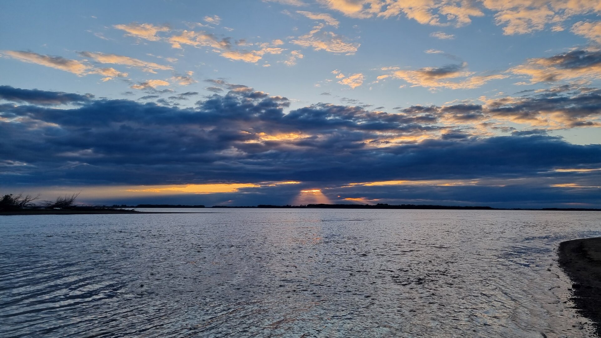 20230618_052319.jpg