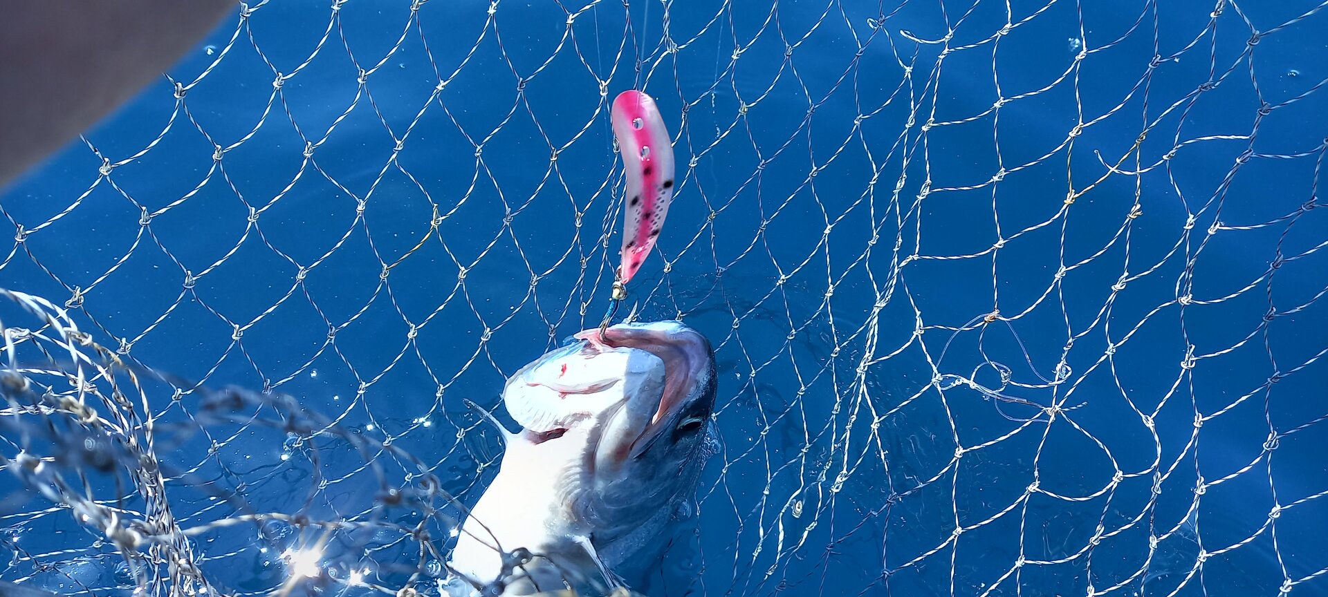 20230619_135350.jpg