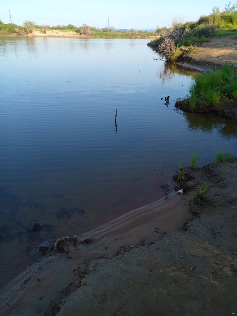 20230620_064024.jpg