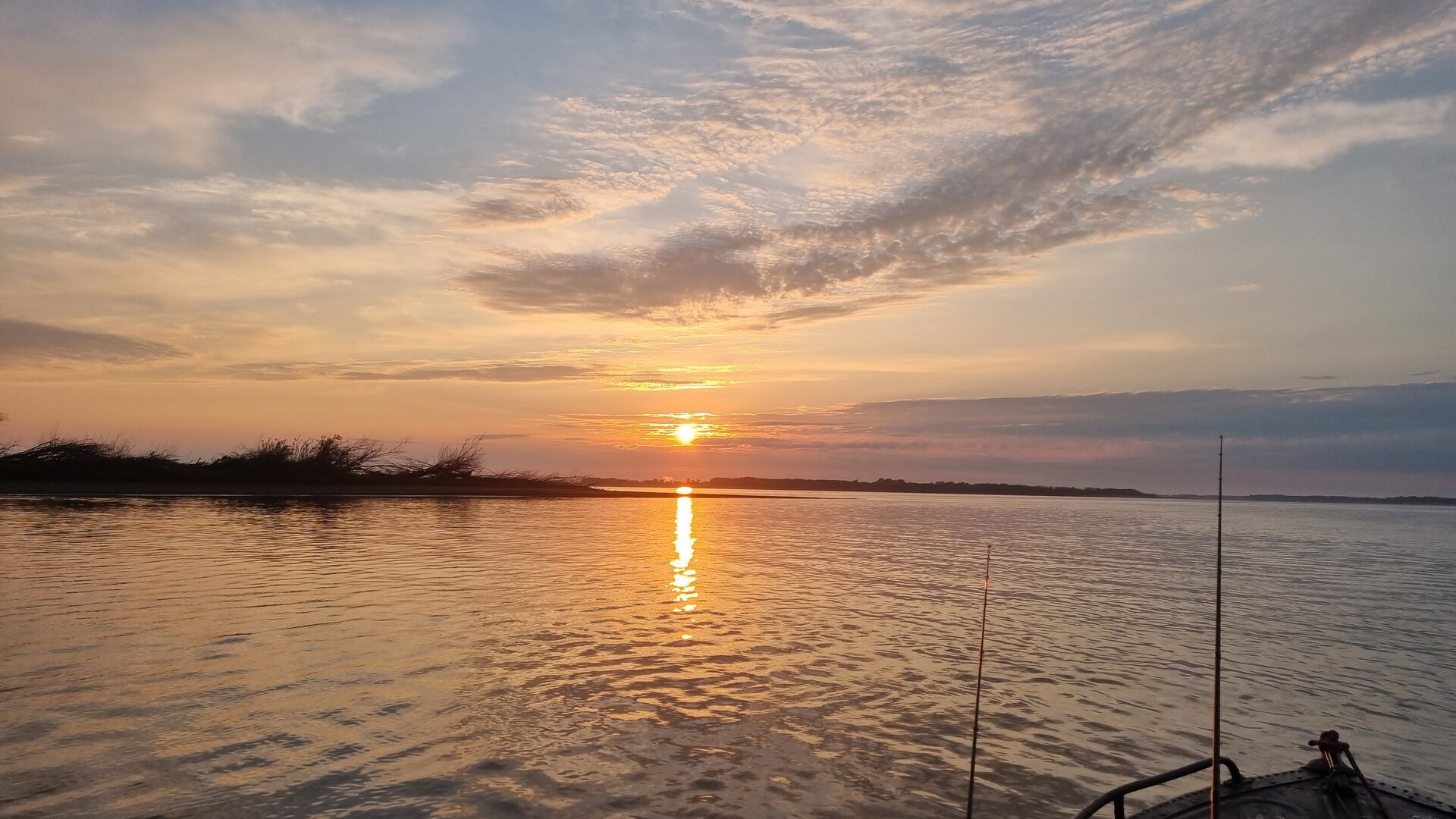20230624_052244.jpg