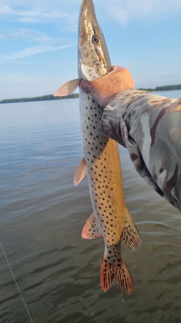 20230624_062252.jpg