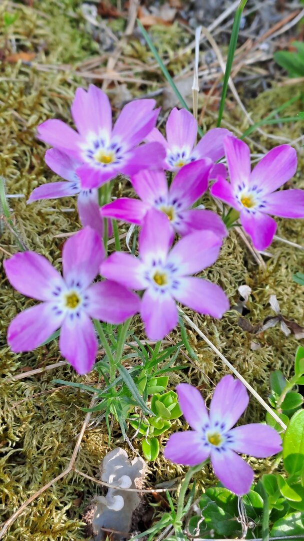 20230624_165034.jpg