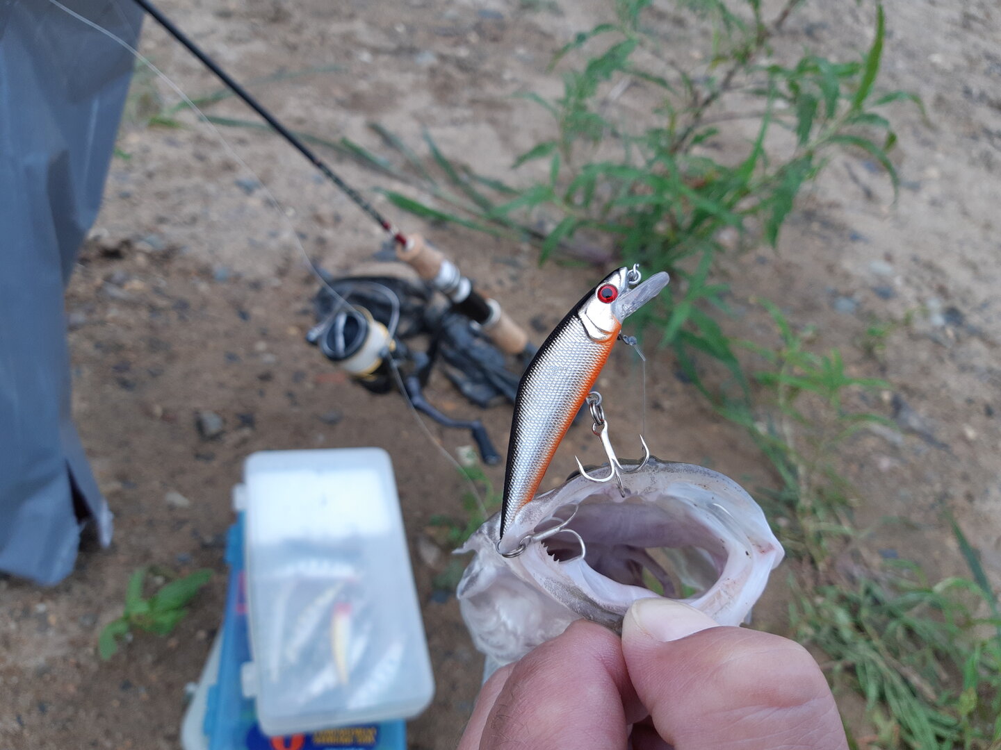 20230716_185157.jpg