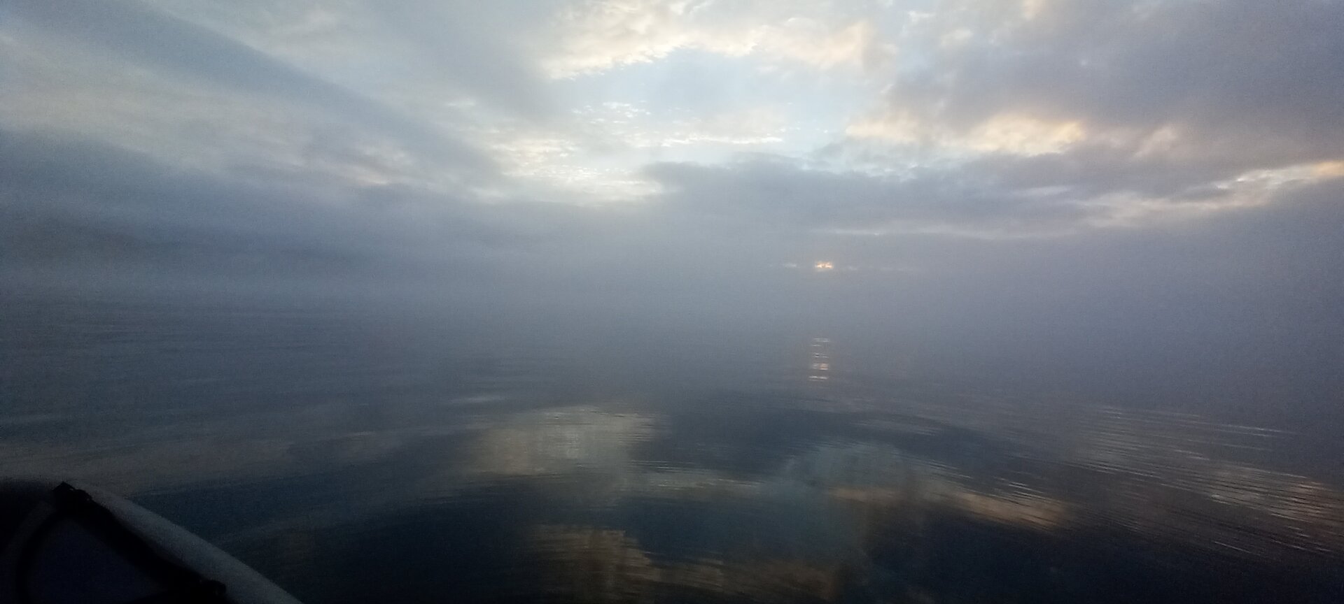 20230720_060807.jpg