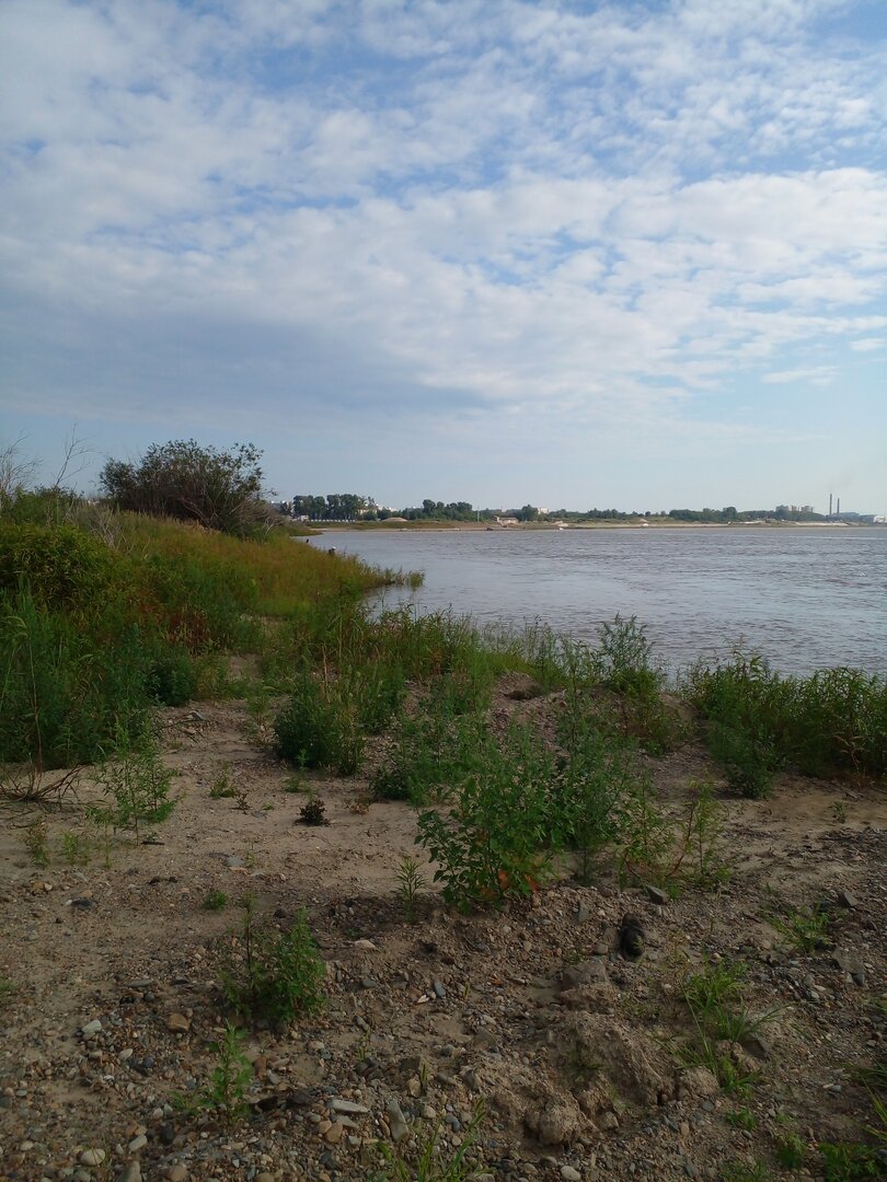 20230806_081542.jpg