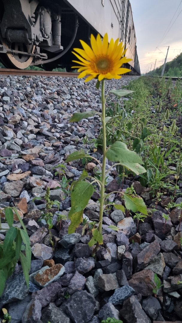 20230811_204132.jpg
