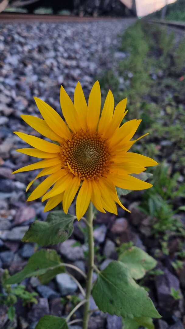 20230811_204137.jpg