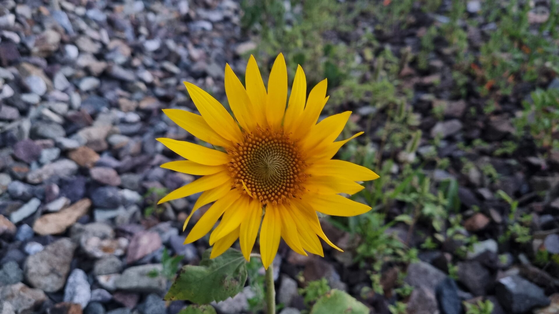 20230811_204141.jpg