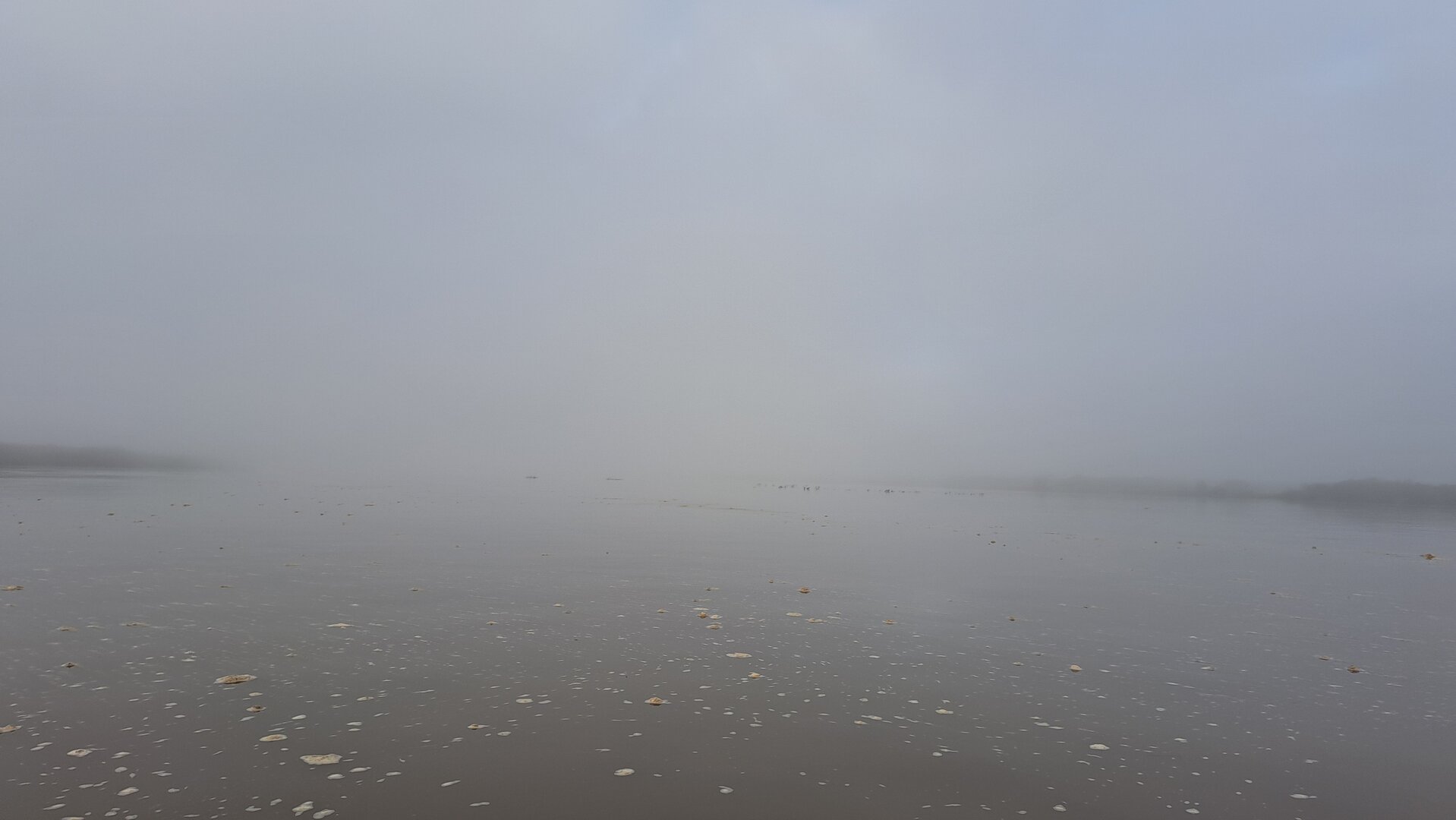 20230816_074723.jpg