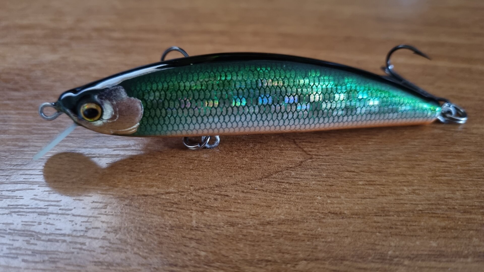 20230816_124519.jpg