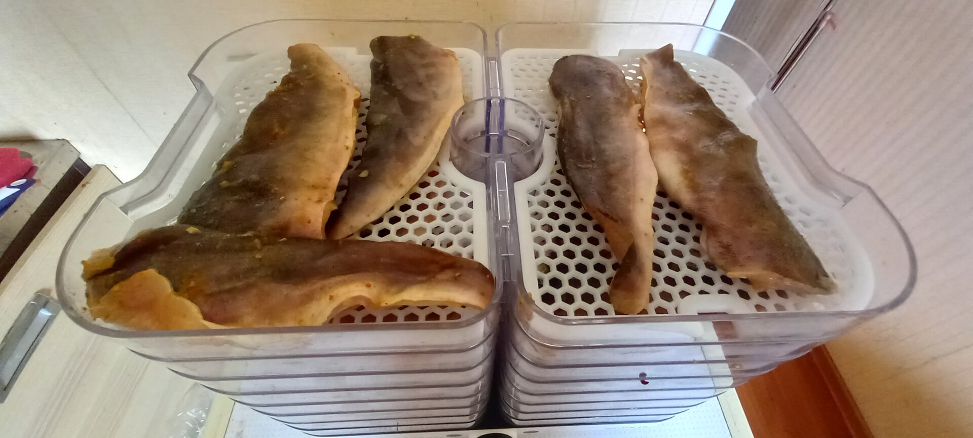 20230823_110814.jpg