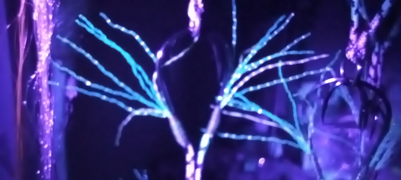 20230831_203440.jpg