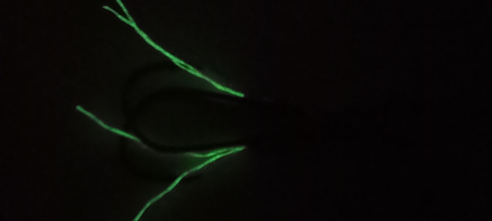 20230831_203636.jpg