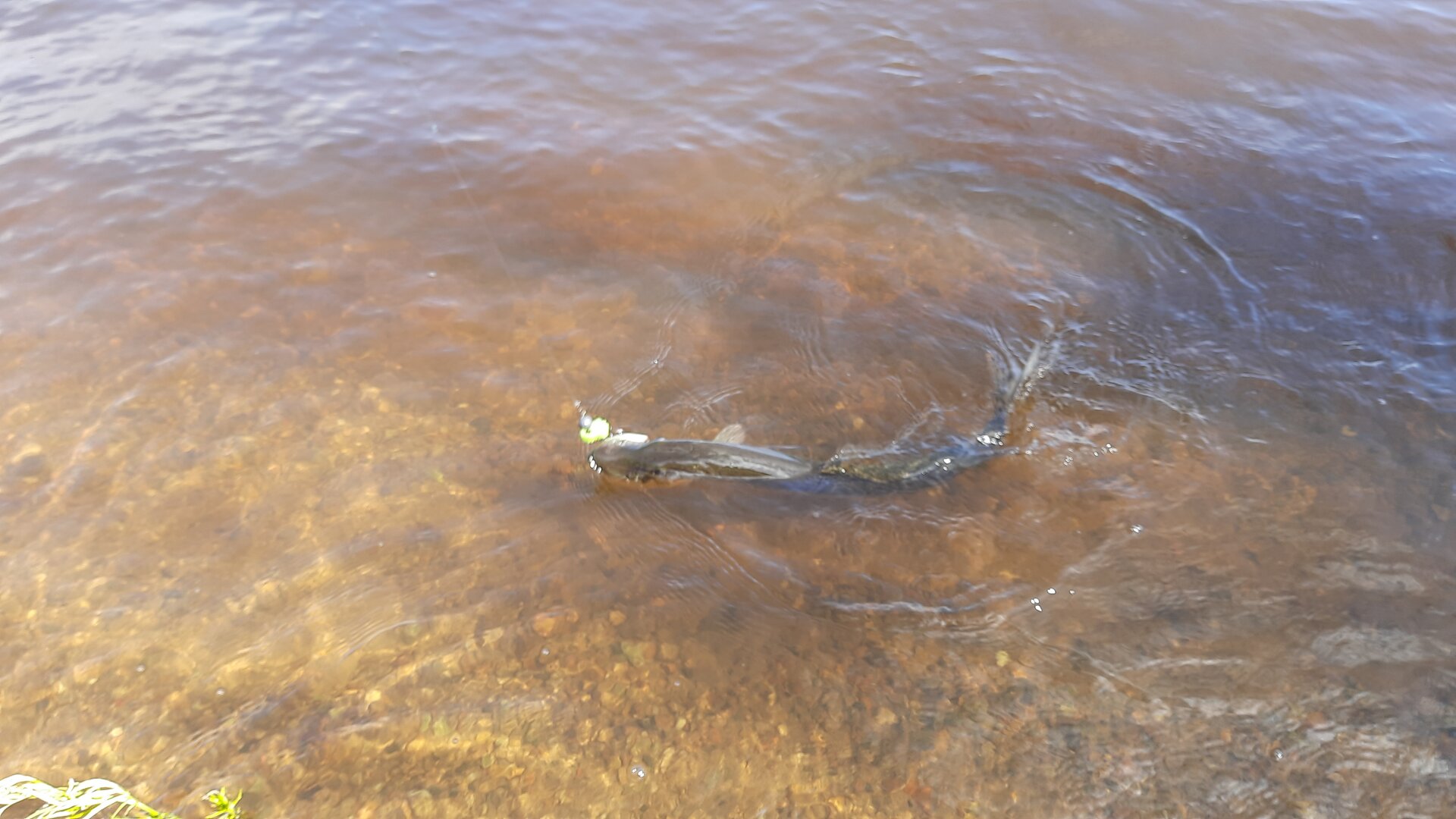 20230902_102955.jpg