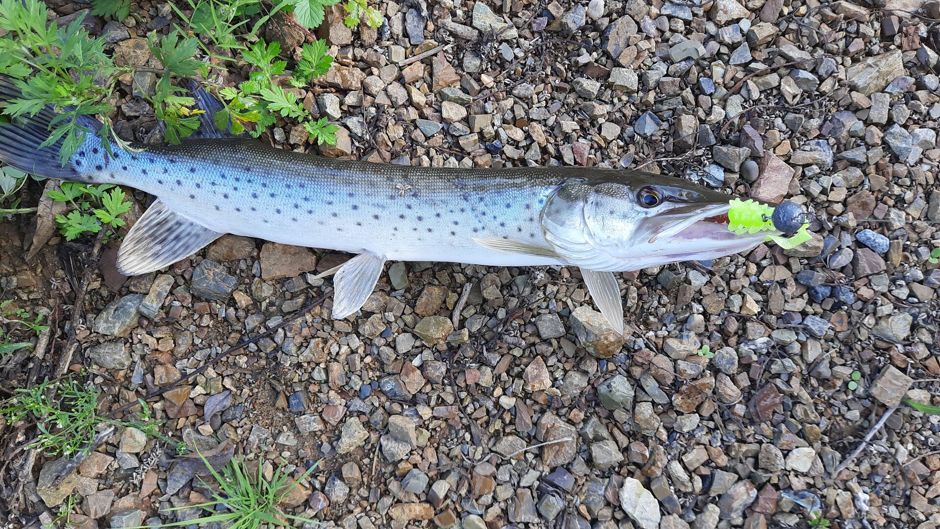 20230902_103035.jpg