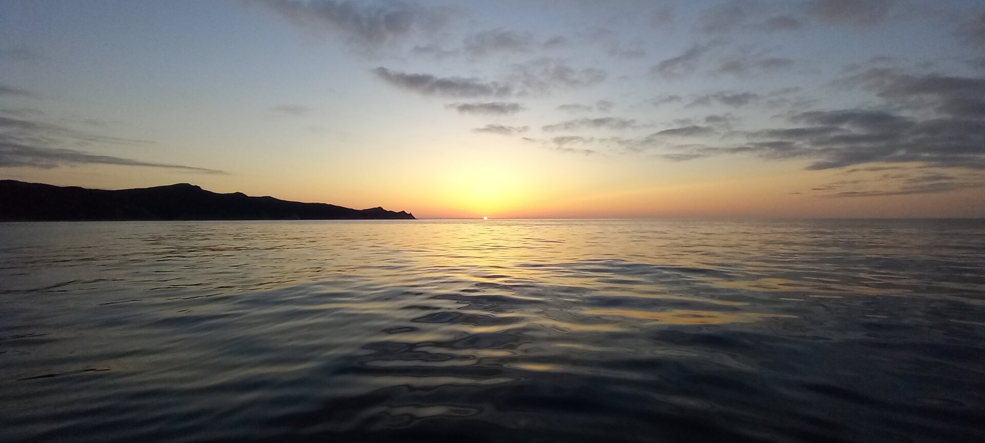 20230908_063955.jpg
