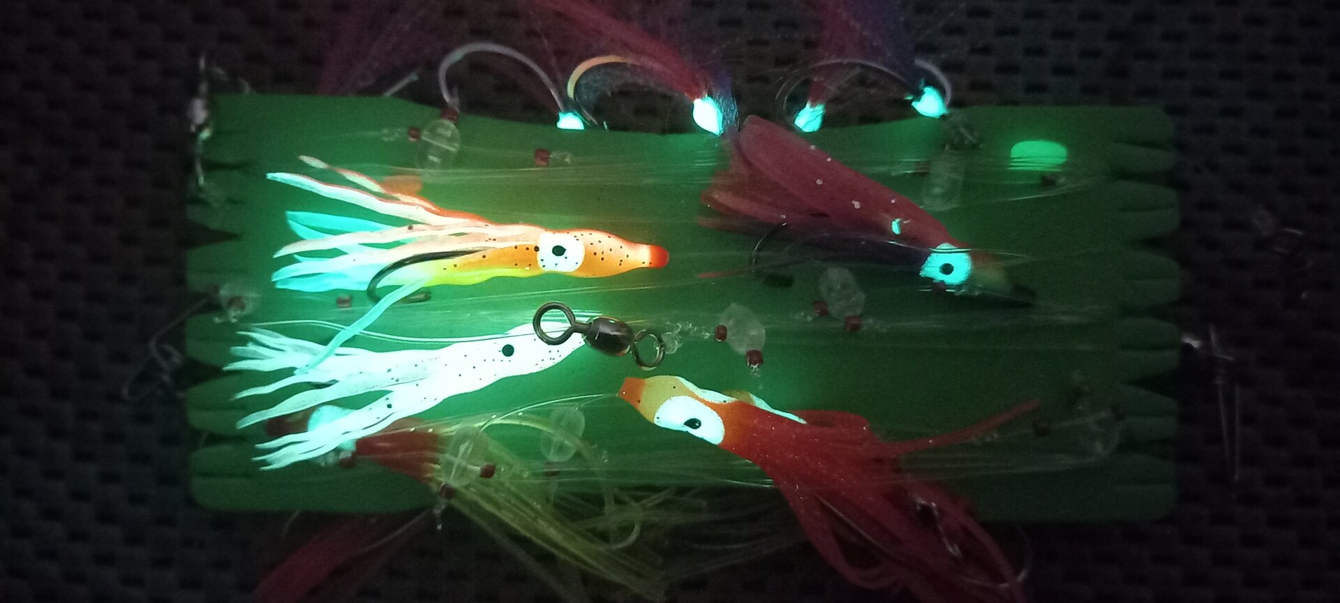 20230914_155302.jpg