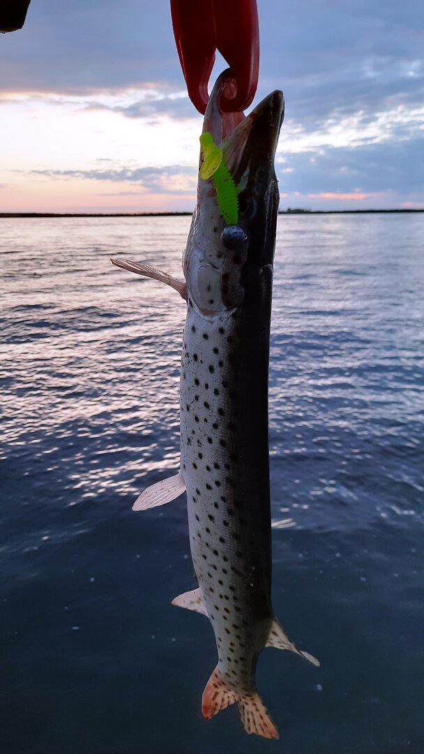 20230914_190742.jpg