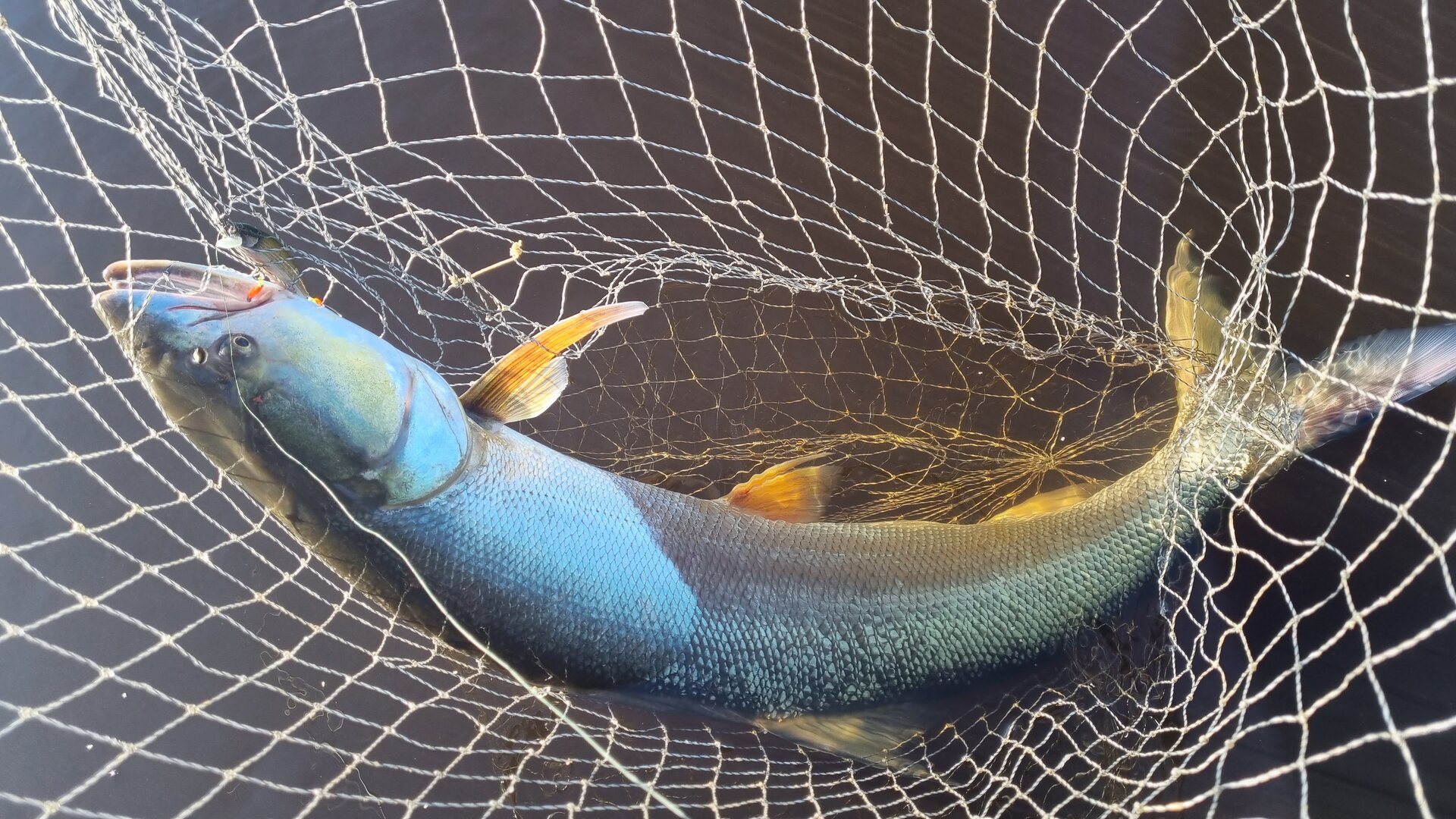 20230916_083745.jpg