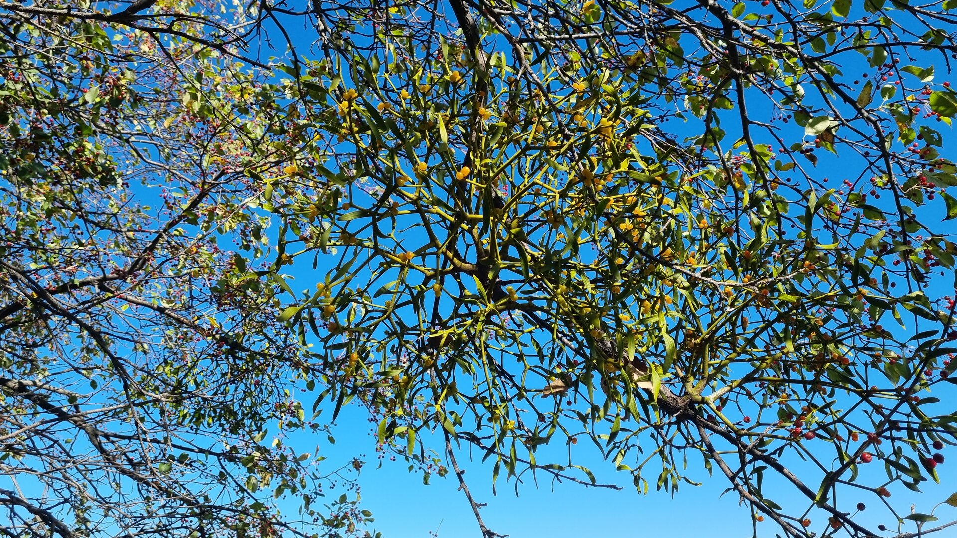 20230916_114019.jpg