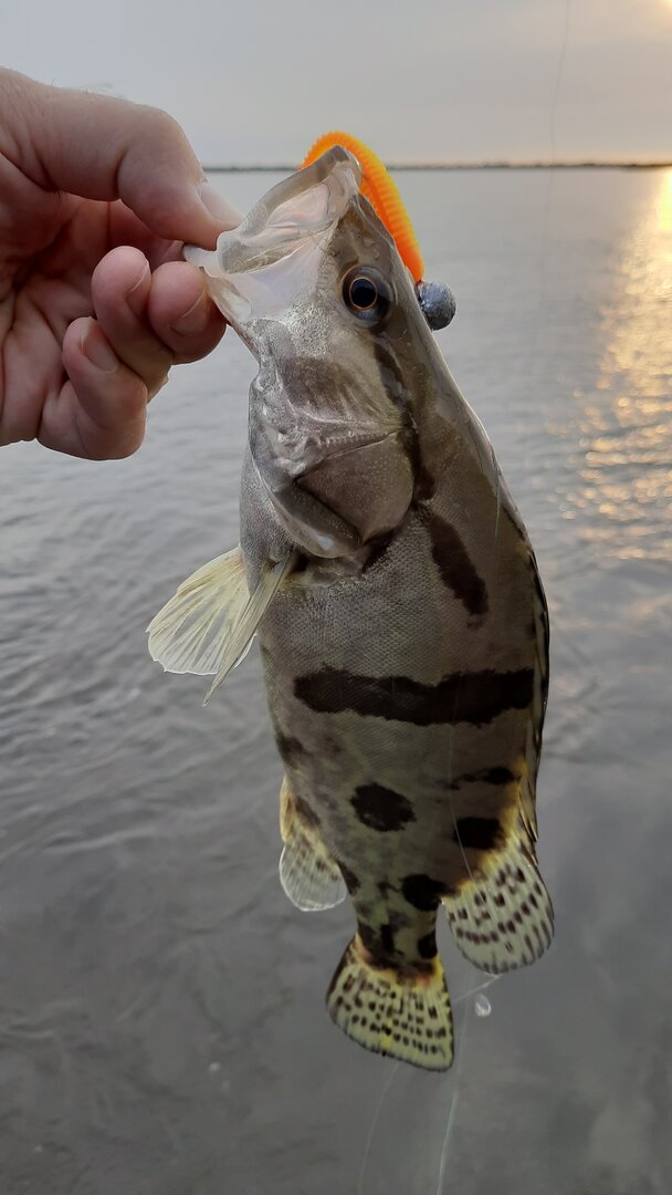 20230917_181721.jpg