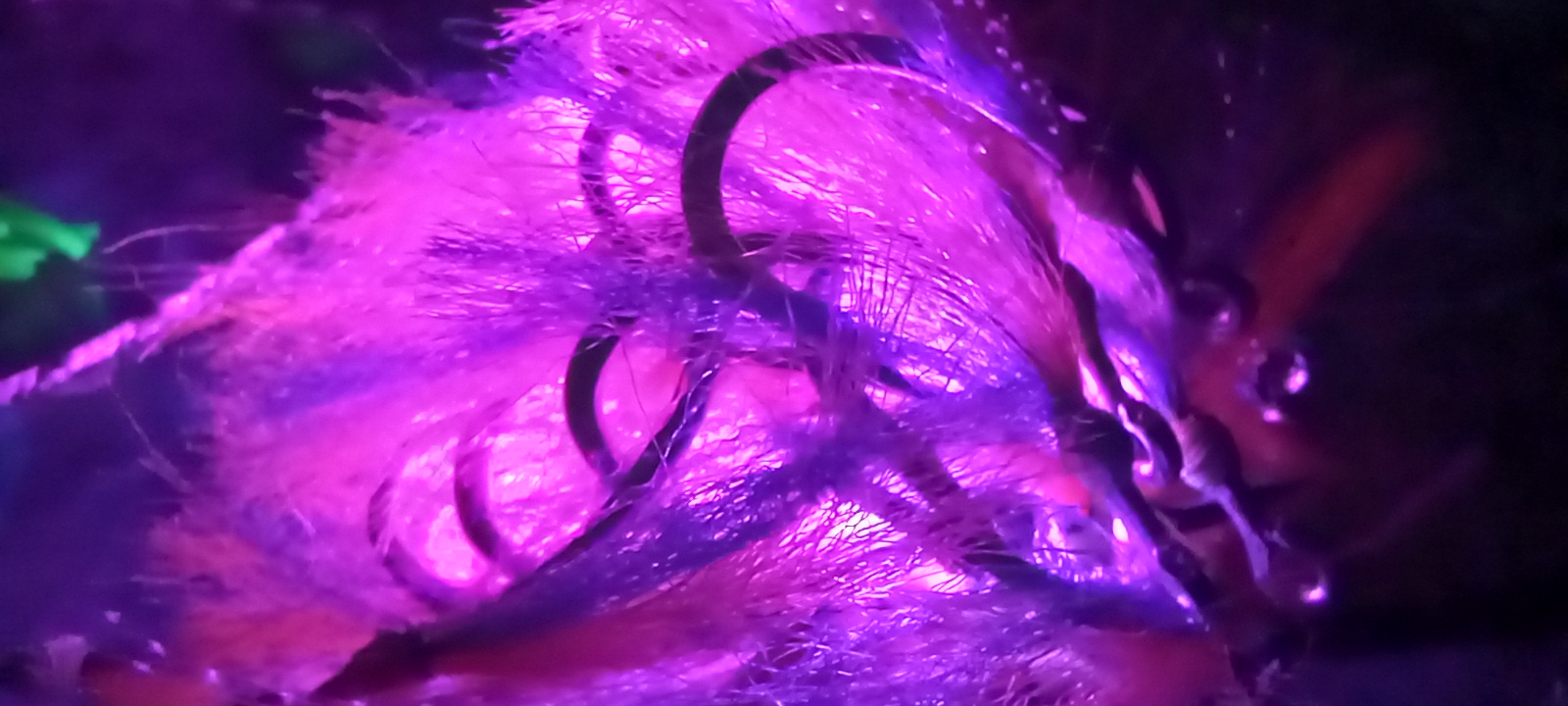 20230919_194311.jpg