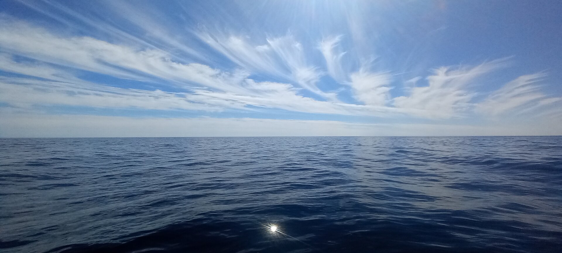 20230921_133051.jpg