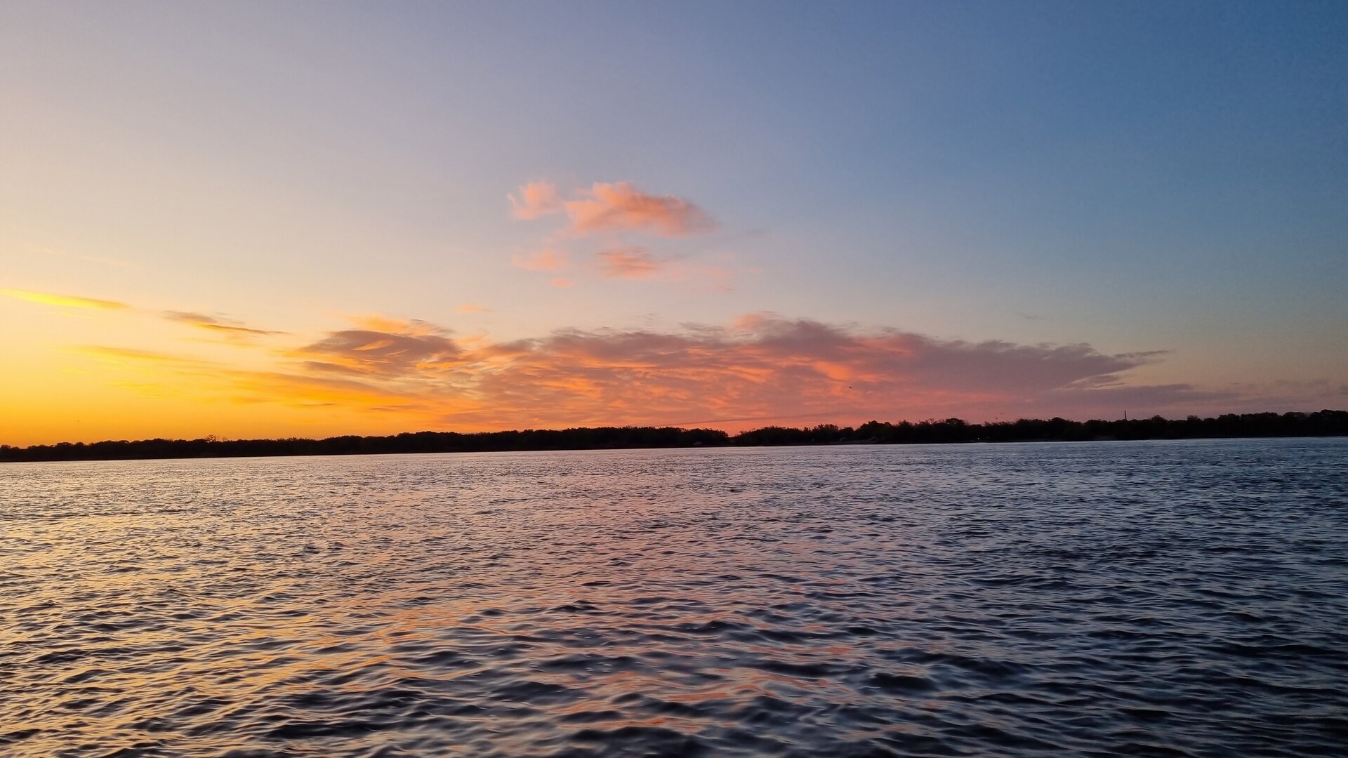 20230924_064228.jpg