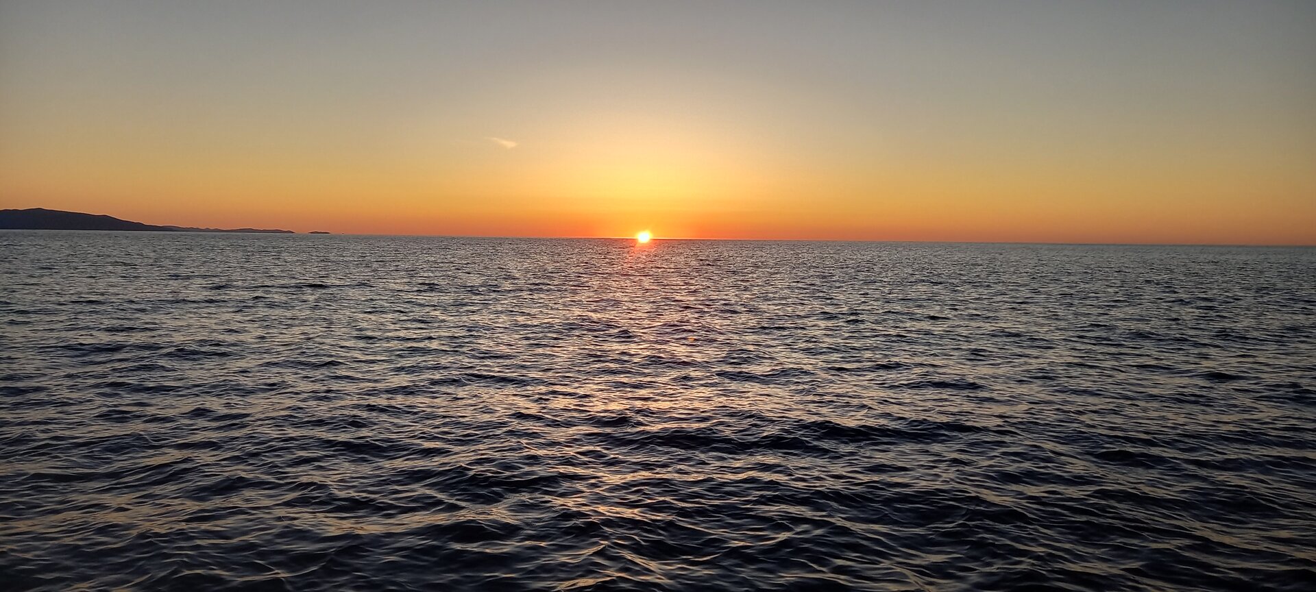 20230924_065632.jpg