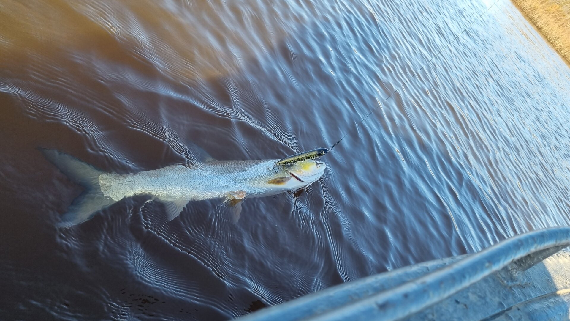 20230924_091931.jpg
