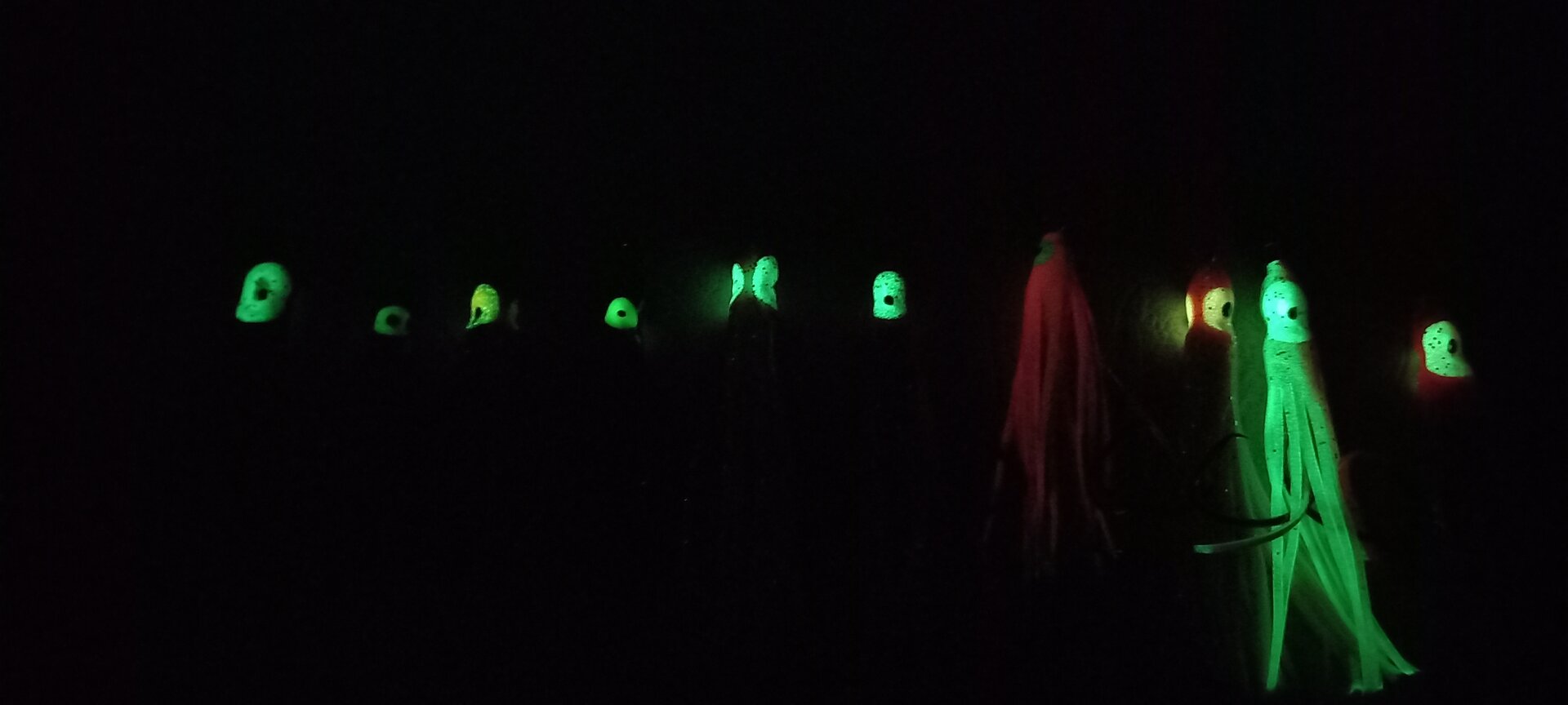 20230925_211334.jpg
