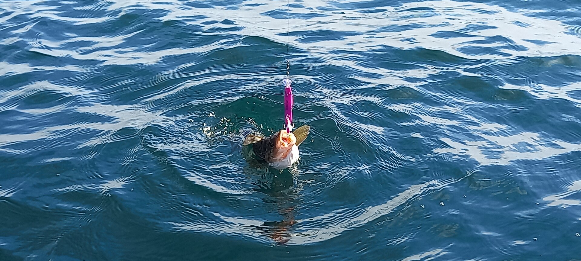 20230926_155141.jpg