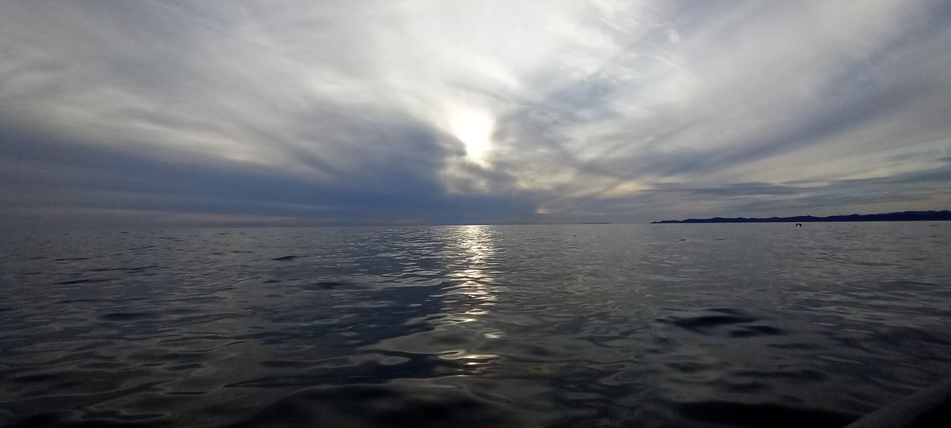 20230926_175230.jpg