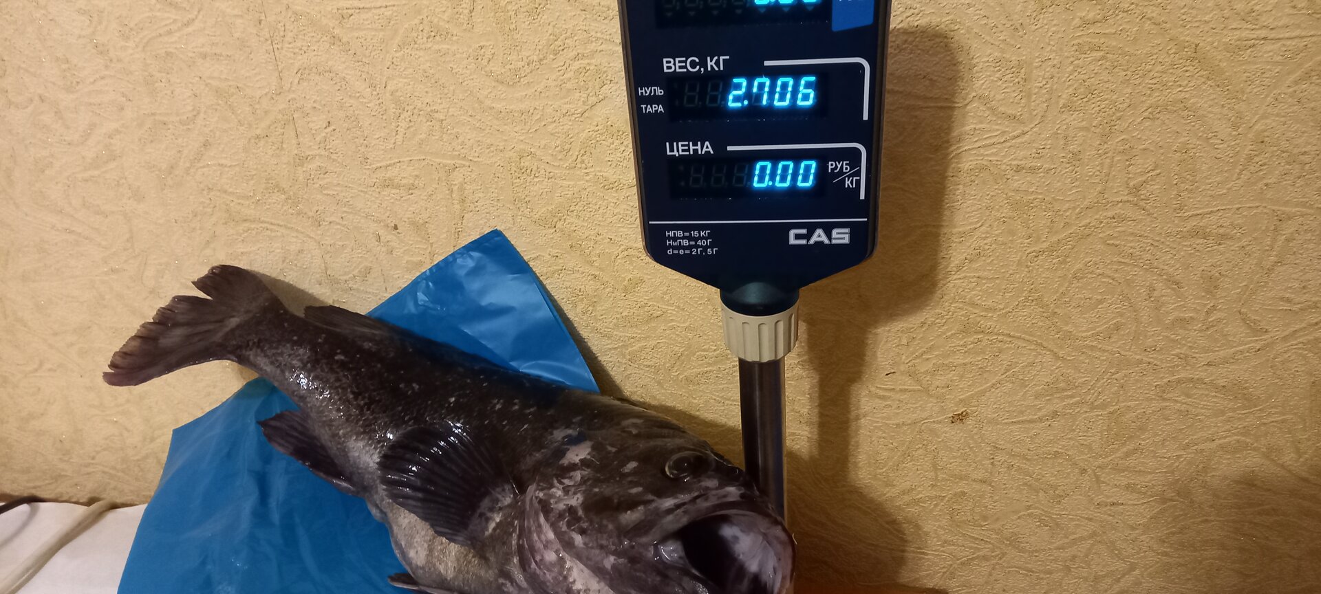 20230926_192450.jpg
