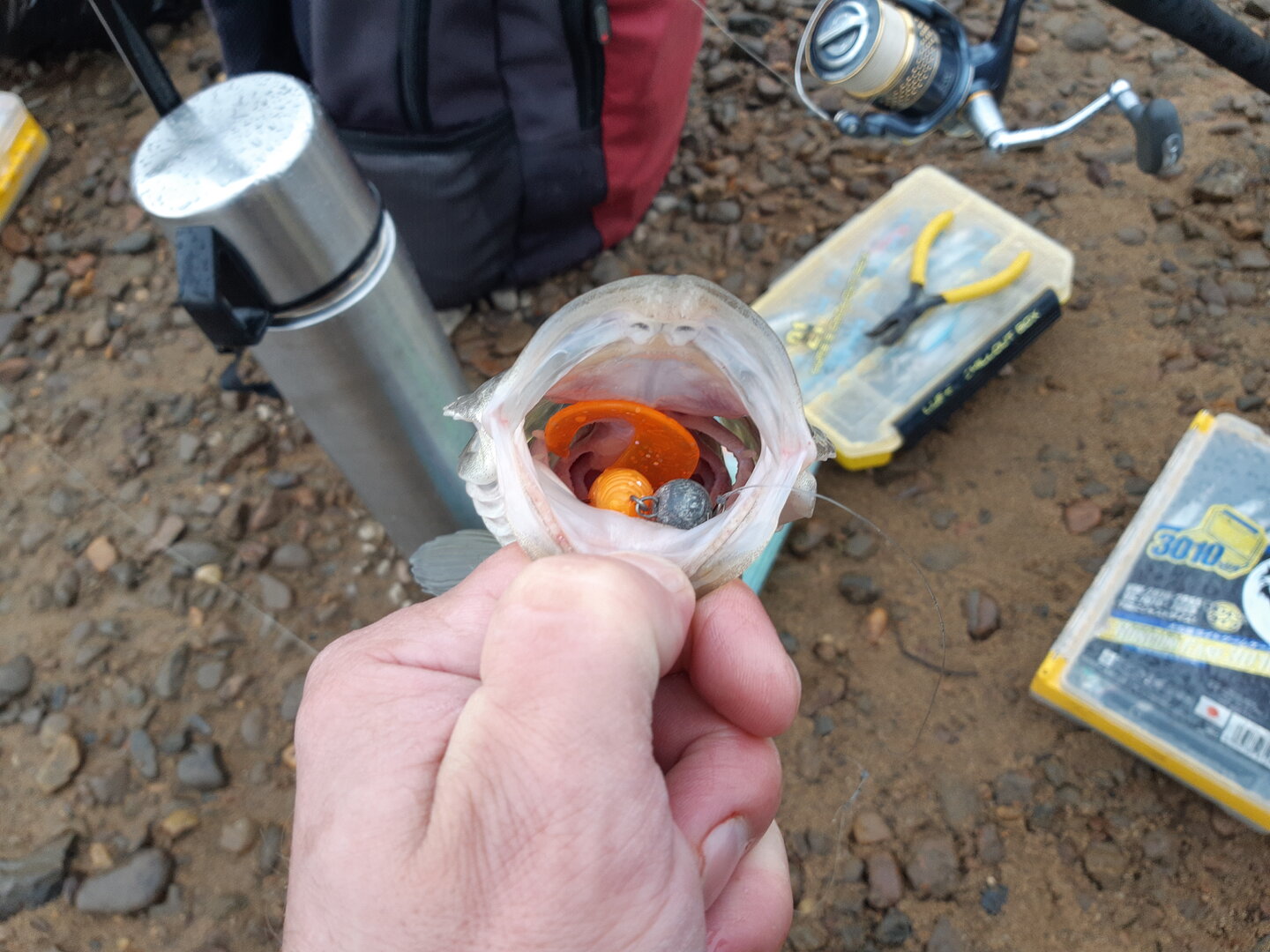 20230930_160406.jpg