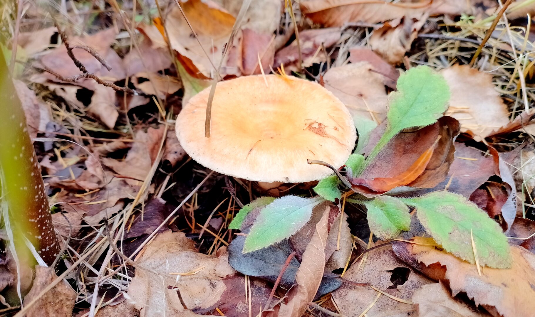20231001_104504681.jpg