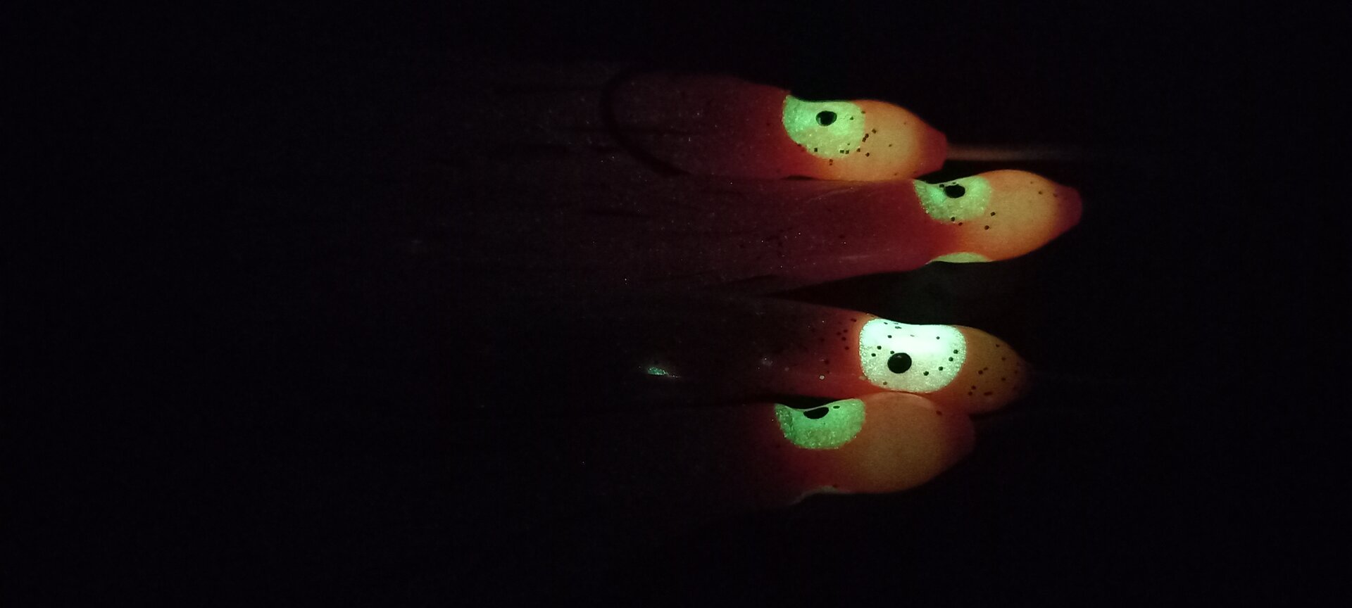 20231008_215455.jpg
