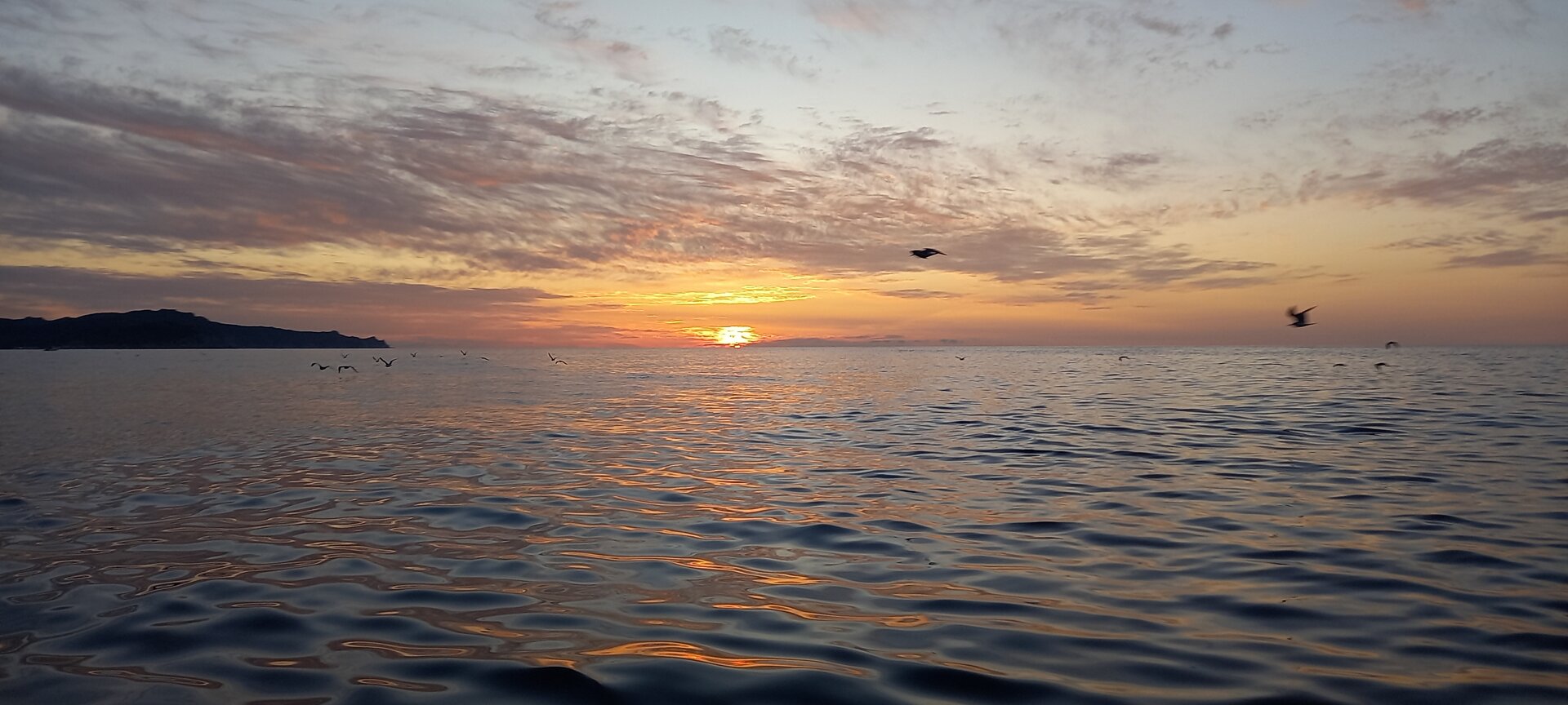 20231009_071337.jpg
