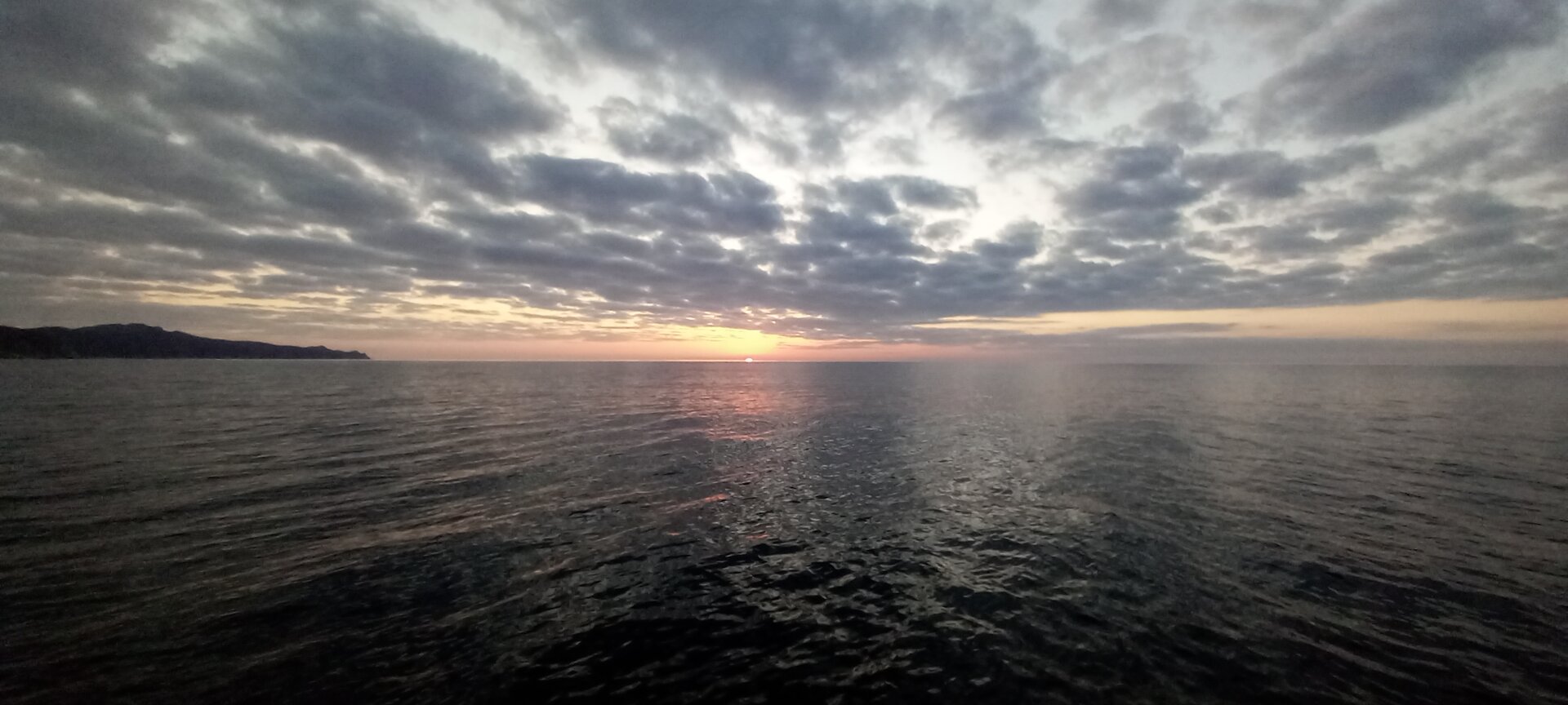 20231030_073817.jpg