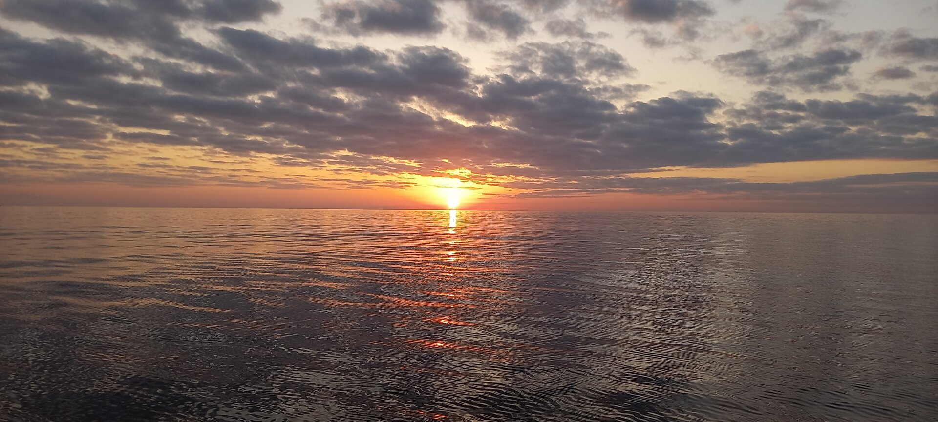 20231030_074334.jpg