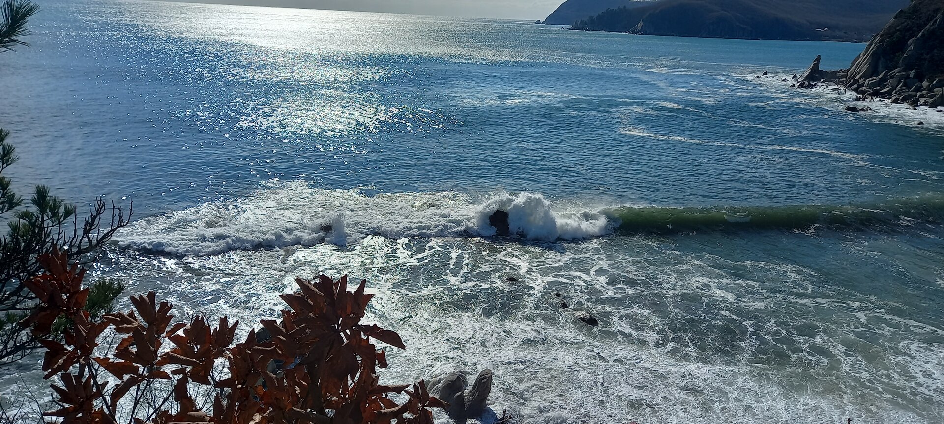 20231107_122920.jpg