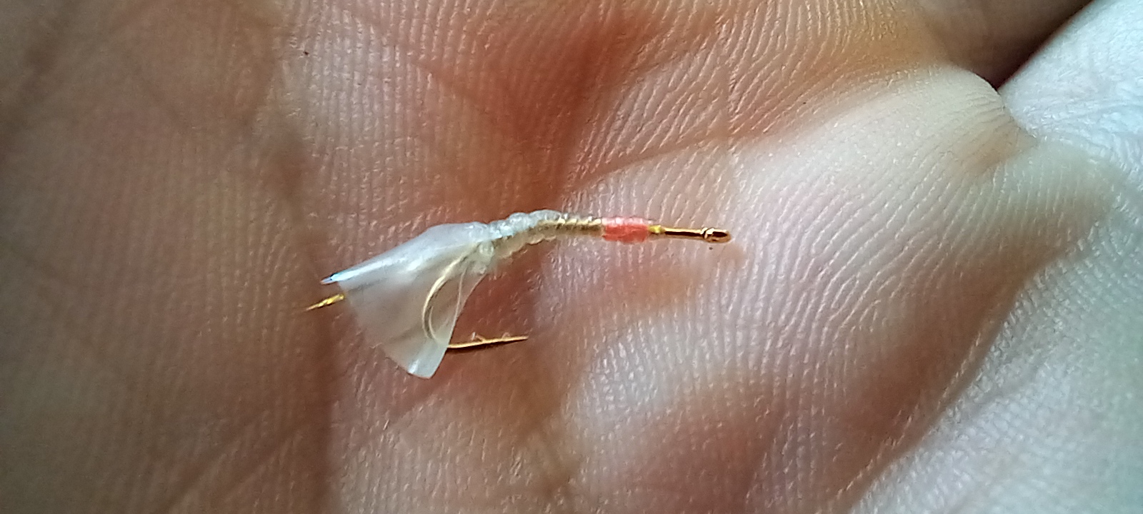 20231117_110401.jpg