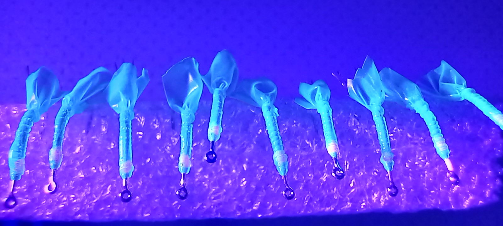 20231117_164643.jpg