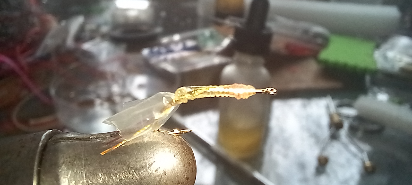 20231121_100320.jpg
