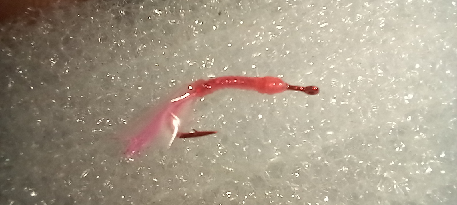 20231121_113010.jpg
