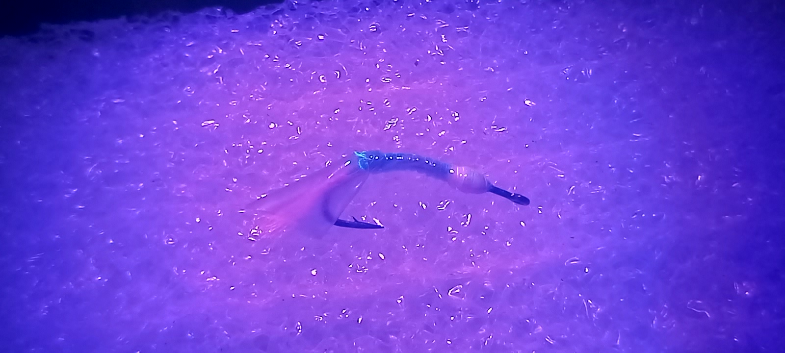 20231121_113046.jpg