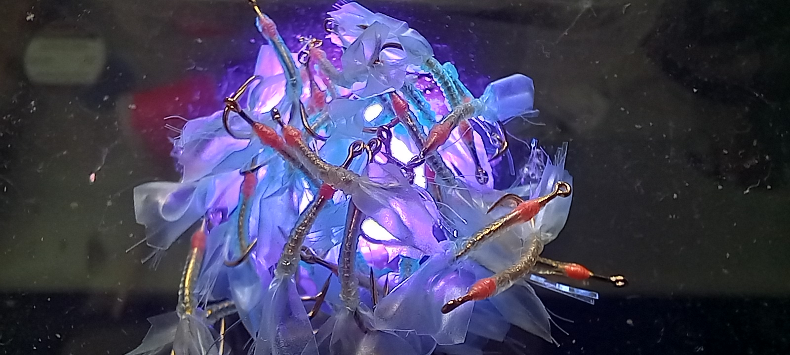 20231201_132839.jpg
