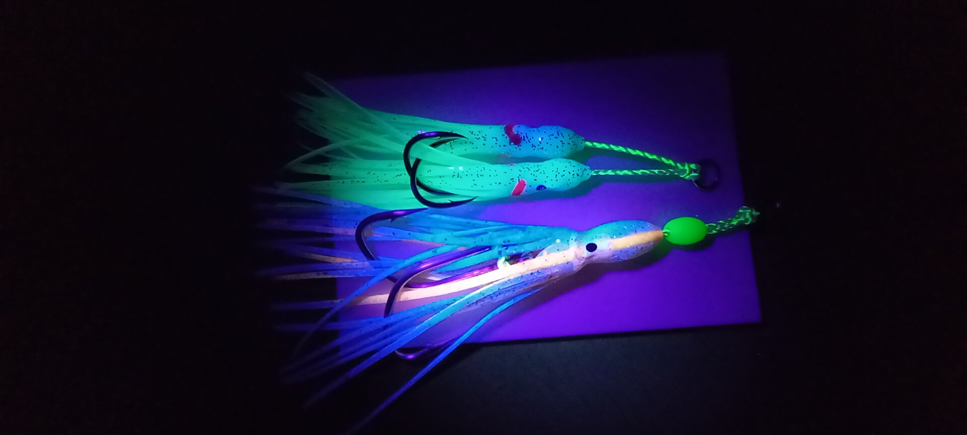 20231209_184319.jpg