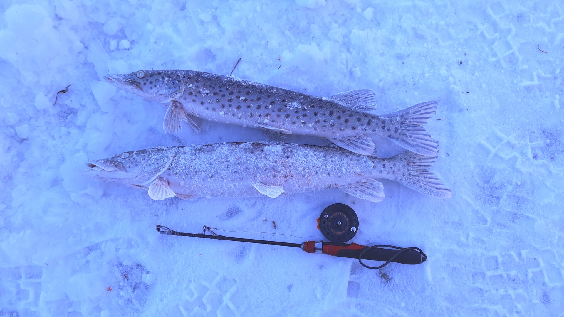 20231215_161030.jpg